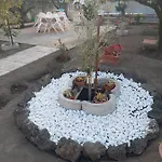 La Ginestra 3*