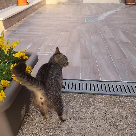 ベッド・アンド・ブレックファスト La Ginestra 3*